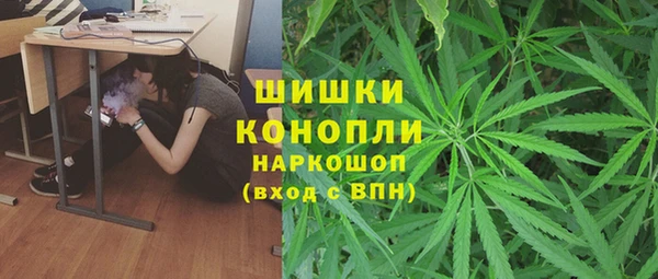 spice Алексеевка