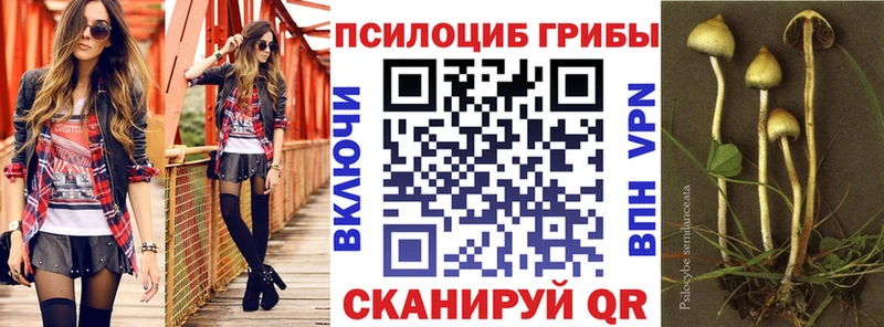 Галлюциногенные грибы Psilocybe Тулун
